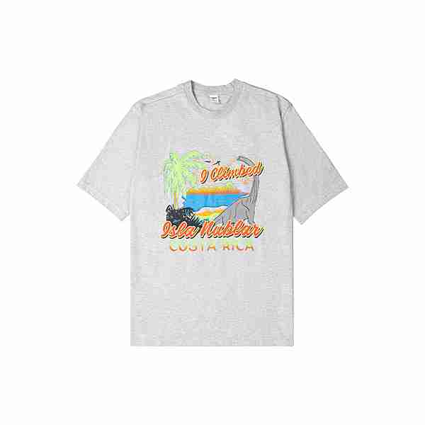 Reebok Jurassic Park T-Shirt T-Shirt graugruen