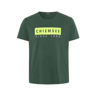 Chiemsee T-Shirt T-Shirt Herren Green Gables