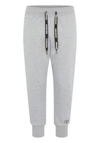 Chiemsee Sweathose Freizeithose Damen - Neutral Gray Melange