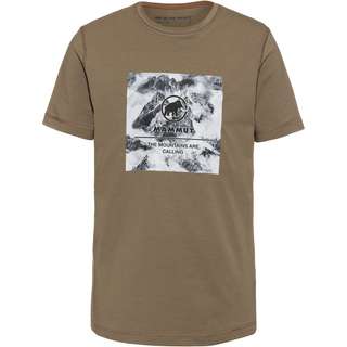 Mammut Graphic T-Shirt Herren tin