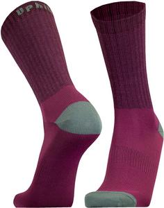 Rückansicht von UphillSport POSIO Wandersocken wine-ocean