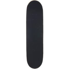 Playlife Lion Skateboard-Komplettset bunt