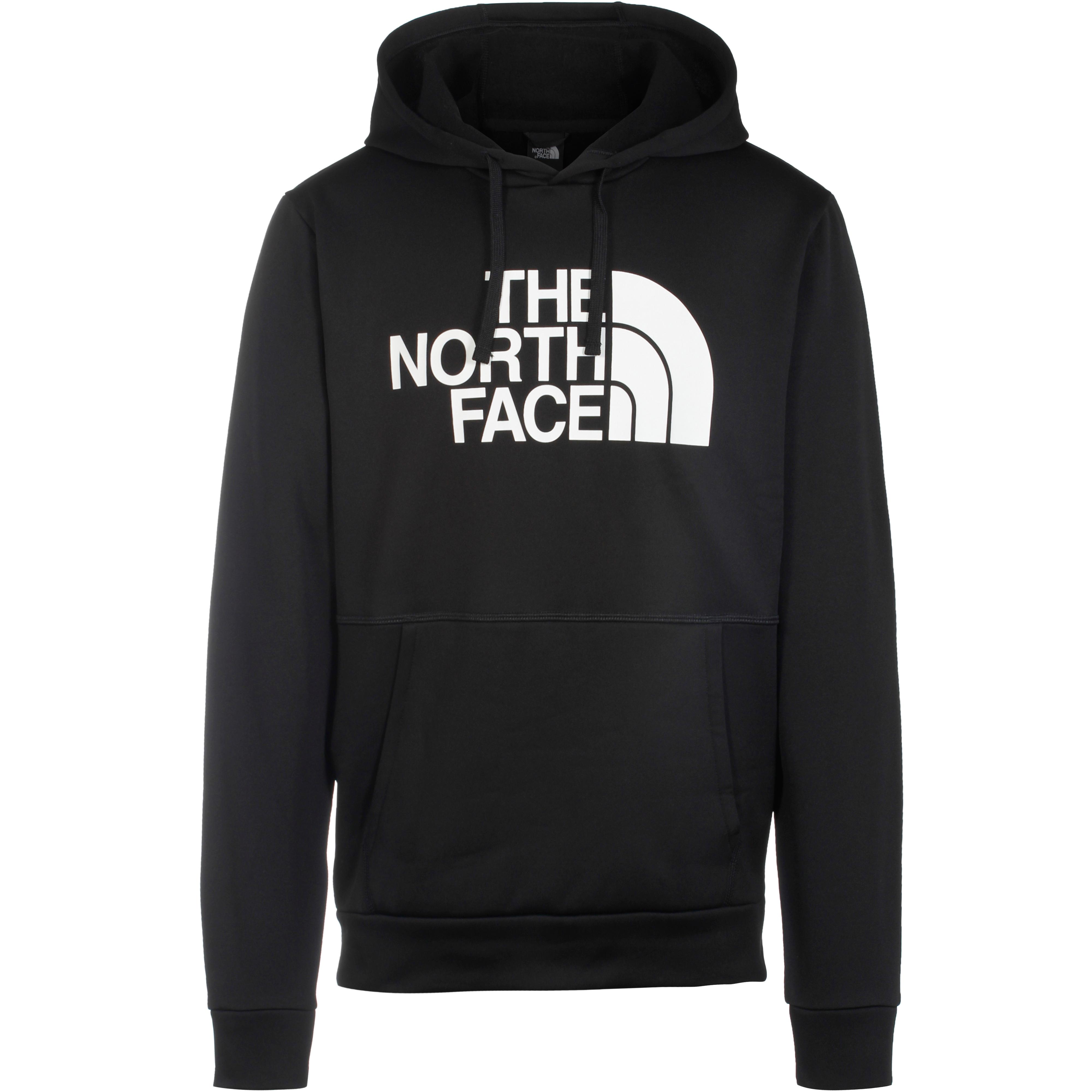 Image of The North Face EXPLORATION Hoodie Herren