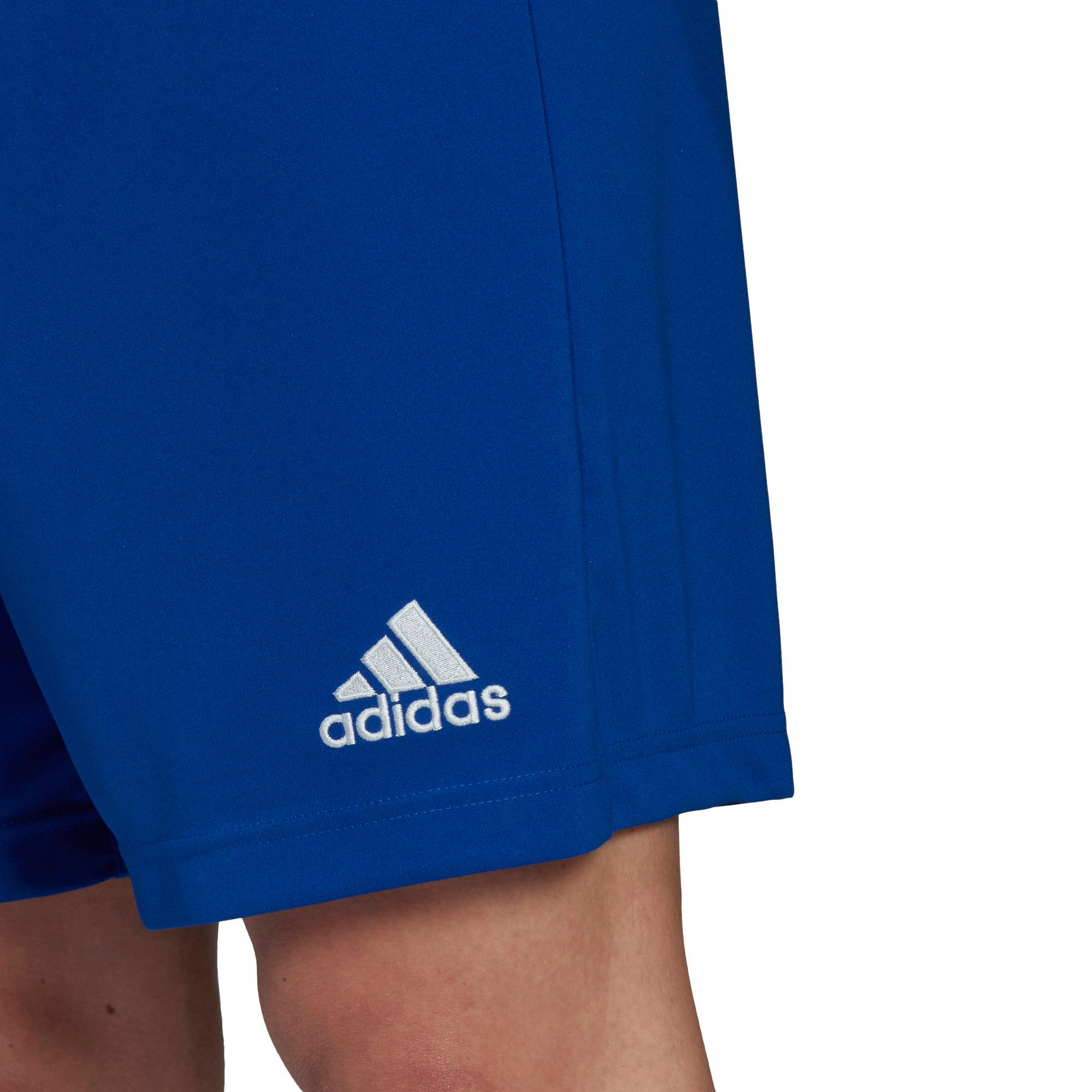 Blue adidas shorts mens deals