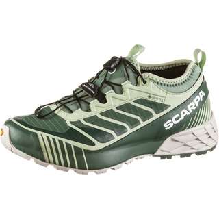 Scarpa GTX Ribelle Run Trailrunning Schuhe Damen mineral gray-gray