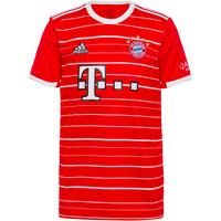 adidas FC Bayern 22-23 Heim Teamtrikot Herren