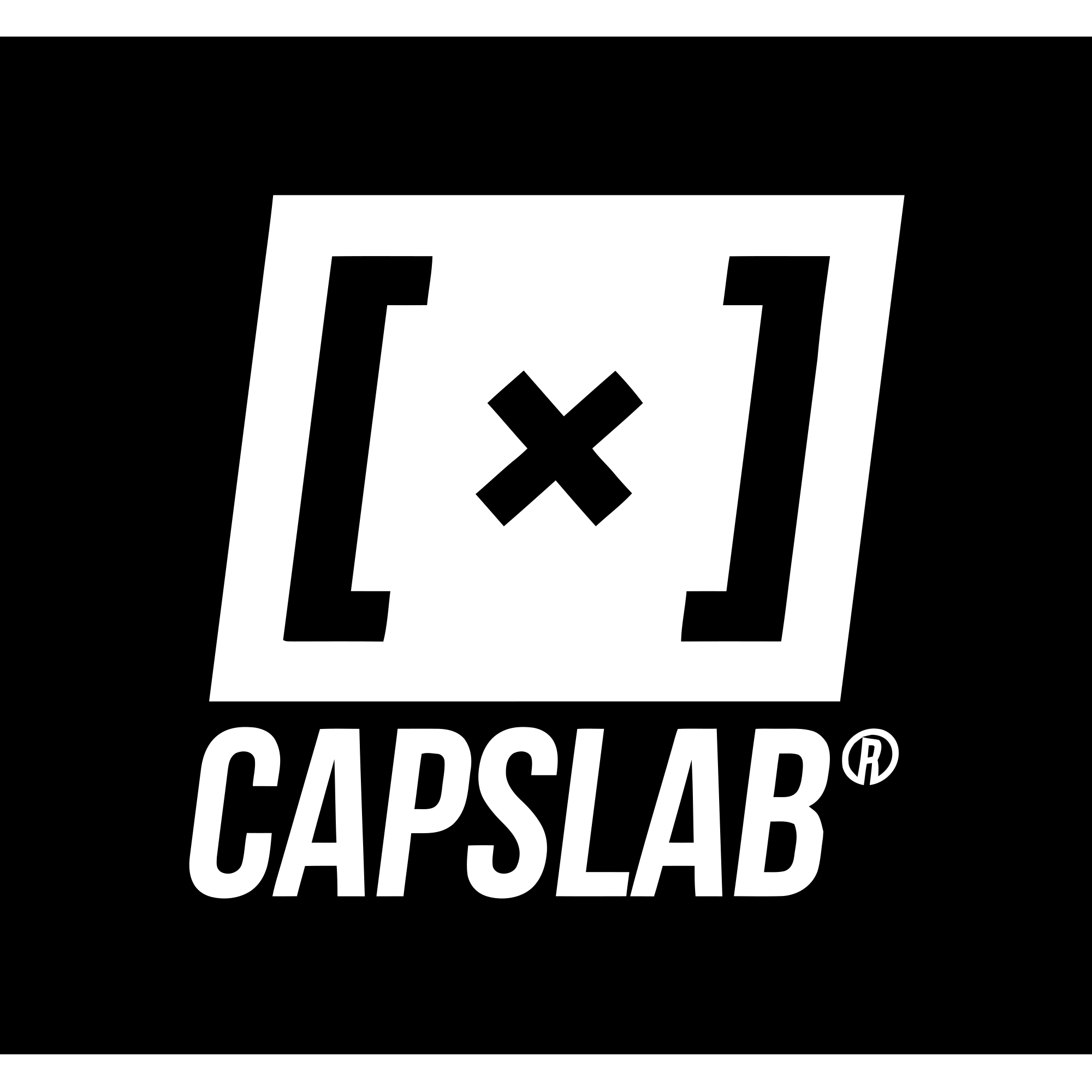 Weitere Artikel von CAPSLAB