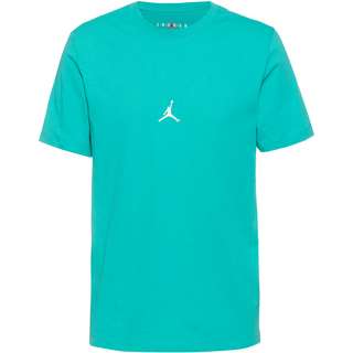Nike Jumpman Flight 23 T-Shirt Herren washed teal-citron tint