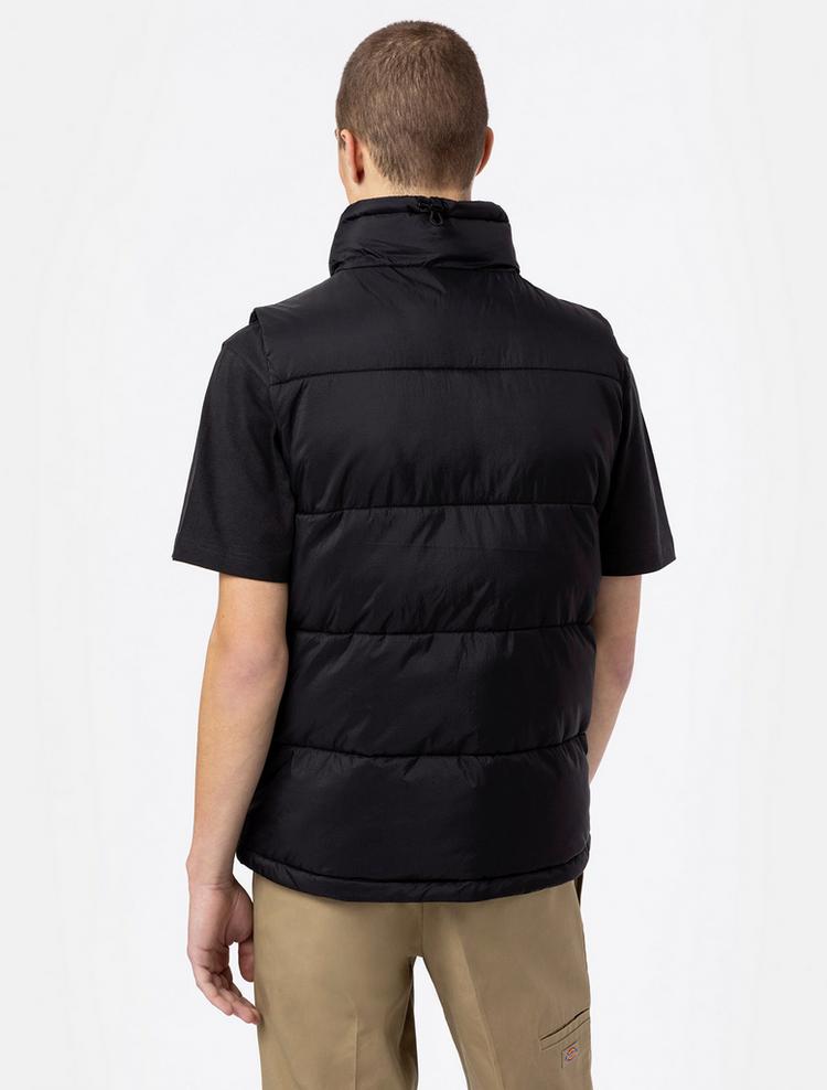 Dickies null - 1 | SportScheck