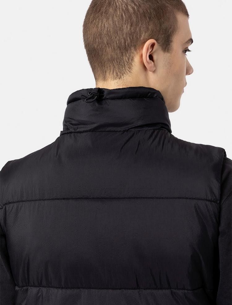 Dickies null - 5 | SportScheck