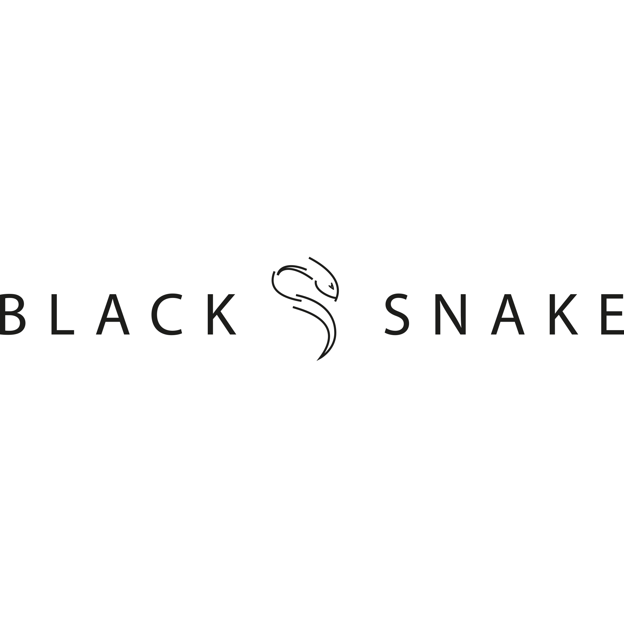 Black Snake Kochgeschirr, Teller und Essbesteck Set
