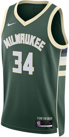 Nike Giannis Antetokounmpo Milwaukee Bucks Basketballtrikot Herren fir