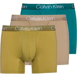 Calvin Klein Boxer Herren deep lake-pistache-winter linen