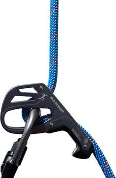 Rückansicht von Mammut 9.5 Crag Classic Rope Kletterseil blau