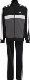 adidas Trainingsanzug Jungen - black-grey five-grey one-white