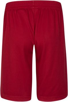 Rückansicht von Nike JORDAN VERT Shorts Kinder gym red