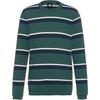 Element Illwaco Langarmshirt Herren - stripes