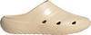 adidas Adicane Clog Badelatschen Herren - sand strata-sand strata-sand strata