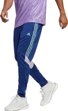 Rückansicht von adidas Tiro Trainingshose Herren victory blue