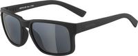 ALPINA Kosmic Brille - all black matt