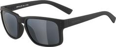 ALPINA Kosmic Sonnenbrille all black matt