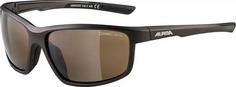 ALPINA DEFEY Sonnenbrille tin-black matt