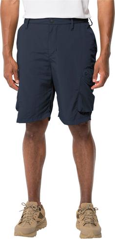 Rückansicht von Jack Wolfskin KALAHARI Cargoshorts Herren night blue