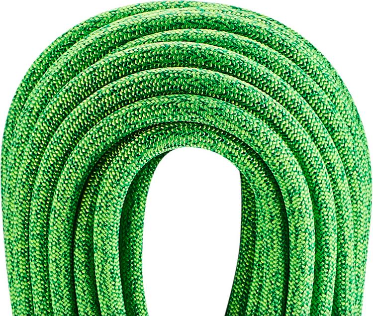 EDELRID EDELRID Boa Gym 9,8mm Kletterseil - oasis - 0 | SportScheck