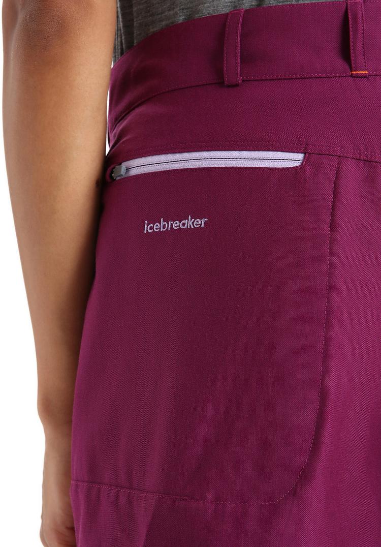 Icebreaker Icebreaker HIKE Funktionsshorts Damen - go berry - 5 | SportScheck
