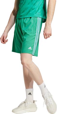 Rückansicht von adidas Tiro Fußballshorts Herren court green-blue dawn