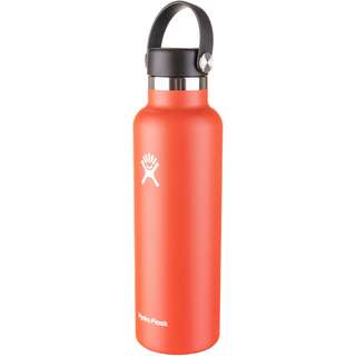 Hydro Flask 21 OZ STANDARD FLEX CAP Isolierflasche goji
