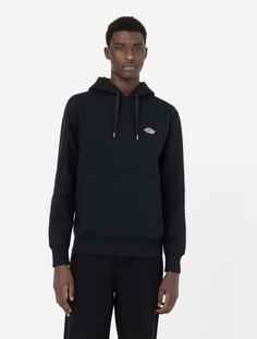Rückansicht von Dickies Summerdale Hoodie Herren black