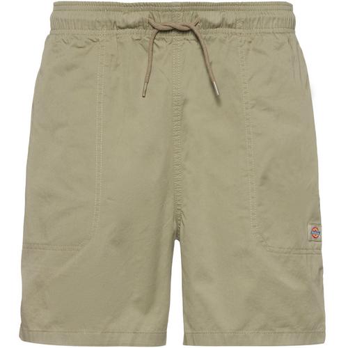 Dickies Pelican Shorts Herren