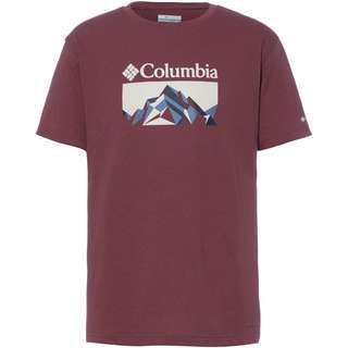 Columbia Thistletown Hills Funktionsshirt Herren light raisin-ractal peaks