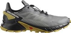 Salomon GTX SUPERCROSS 4 Multifunktionsschuhe Herren pewter-black-cress green