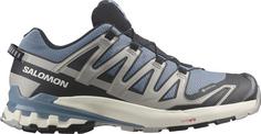 Salomon GTX XA PRO 3D V9 Multifunktionsschuhe Herren flint stone-black-ghost gray