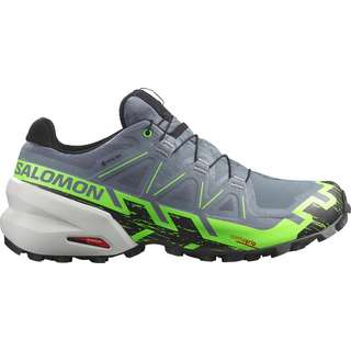 Salomon GTX SPEEDCROSS 6 G Trailrunning Schuhe Herren flint stone-green gecko-black