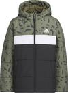 adidas COLORBLOCK Steppjacke Jungen - olive strata
