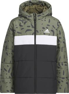 adidas COLORBLOCK Steppjacke Kinder olive strata