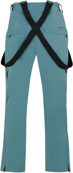 Rückansicht von Protest MIIKKA Skihose Herren atlantic green