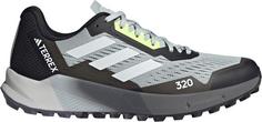 adidas TERREX AGRAVIC FLOW 2 Trailrunning Schuhe Herren wonsil-crywht-luclem