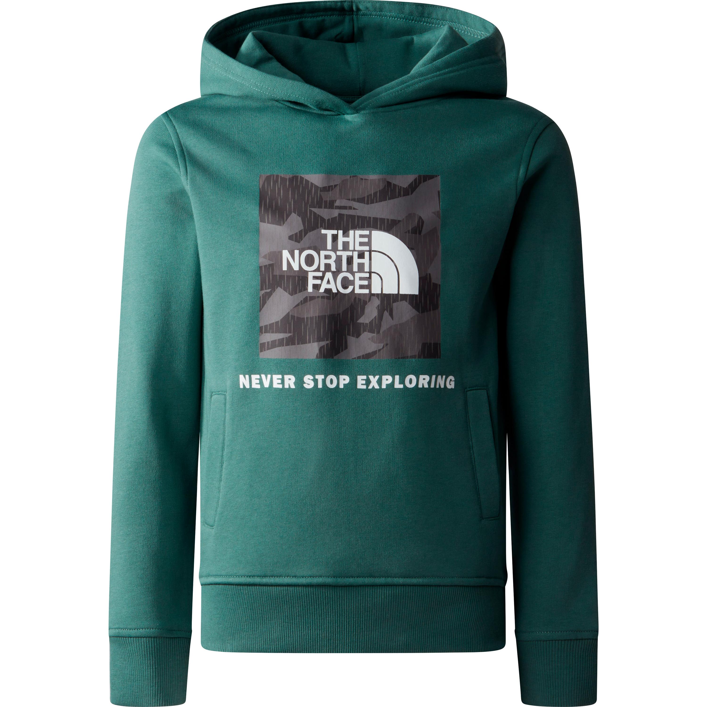 The North Face Off Mountain Logowear Hoodie Kinder