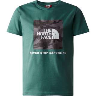 The North Face Off Mountain Logowear T-Shirt Kinder dark sage-asphalt grey