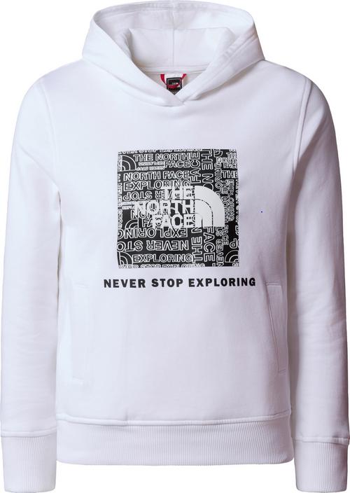 The North Face Off Mountain Logowear Hoodie Kinder