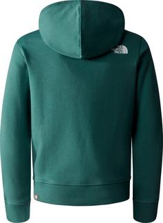 Rückansicht von The North Face Off Mountain Logowear Hoodie Kinder dark sage-asphalt grey