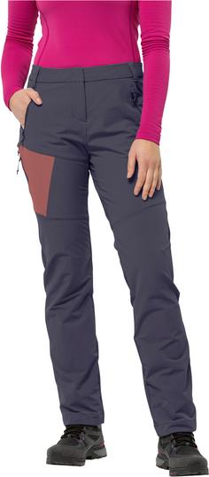 Rückansicht von Jack Wolfskin GLASTAL WINTER Softshellhose Damen graphite