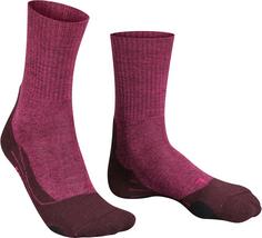 Rückansicht von Falke Merino TK2 EXPLORE Wandersocken Damen burgundy