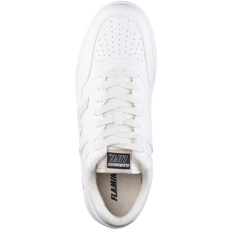 Flamingos' Life null - 0 | SportScheck