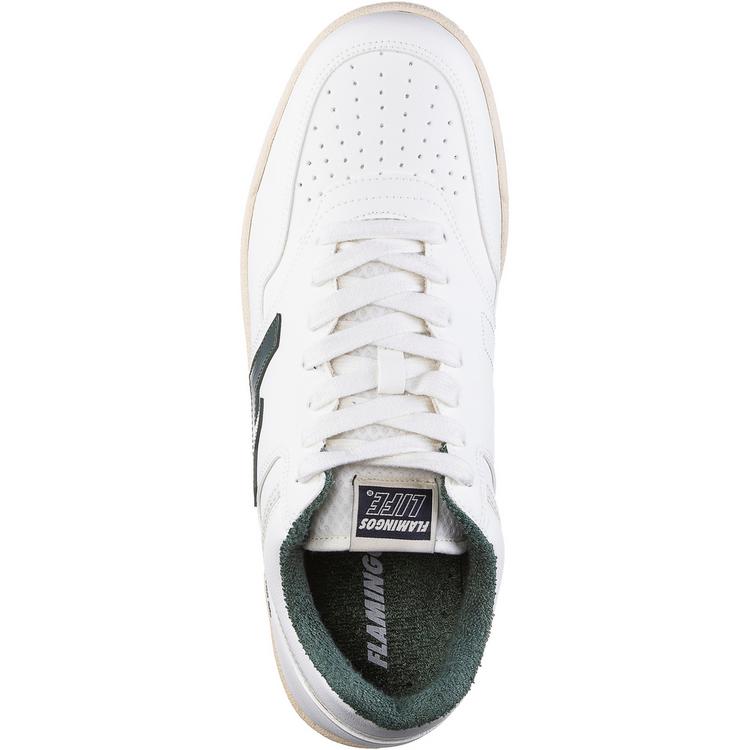 Flamingos' Life null - 0 | SportScheck