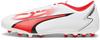 PUMA ULTRA PLAY MG Fu&szlig;ballschuhe Herren - puma white-puma black-fire orchid
